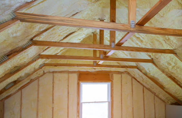 Best Residential Insulation in Howard Lake, MN