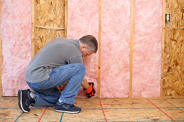 Best Types of Insulation in Howard Lake, MN